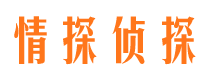 海安市侦探公司